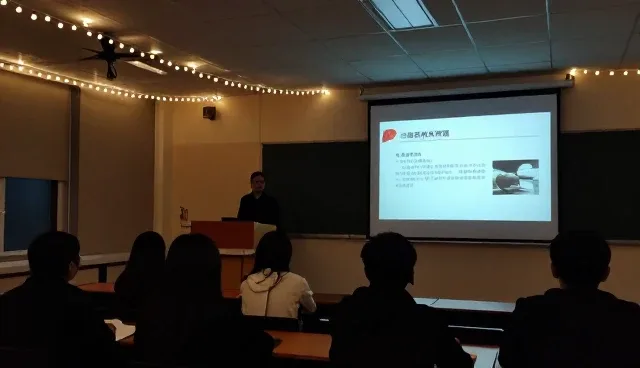环境适配在技术外包中的发展趋势与实践路径